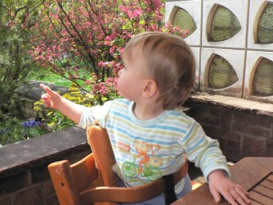 Minchen abgelenkt auf Terrasse